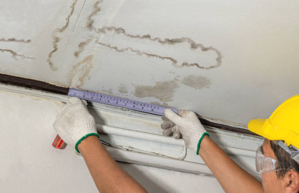 Reliable Mold Remediation contractor in Canton, NC by Water Damage Irwin